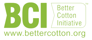BCI BCI